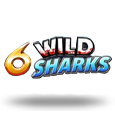 6 Wild Sharks
