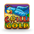 Chilli Gold