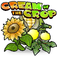 Cream of the Crop