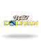 Wild Dolphin