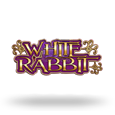White Rabbit