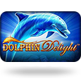 Dolphin Delight