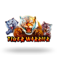 Tiger Warrior