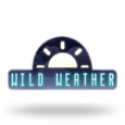 Wild Weather