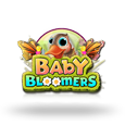 Baby Bloomers