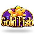Gold Fish