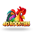 40 Roosters