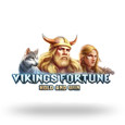 Vikings Fortune Hold and Win