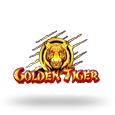 Golden Tiger