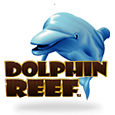 Dolphin Reef