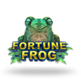 Fortune Frog