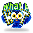 What a Hoot