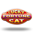 Lucky Fortune Cat