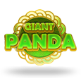 Giant Panda
