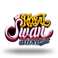Royal Swan