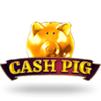 Cash Pig