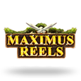 Maximus Reels