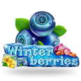 Winter Berries