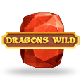 Dragons Wild