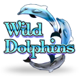Wild Dolphins