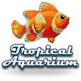 Tropical Aquarium