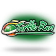 Turtle Run