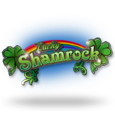 Lucky Shamrock