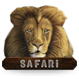 Safari