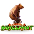 Circus Brilliant