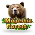 Majestic Forest