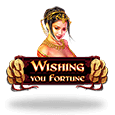 Wishing You Fortune