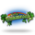 Lucky Shamrock