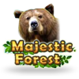 Majestic Forest