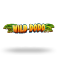 Wild Dodo
