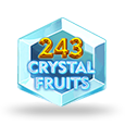 243 Crystal Fruits