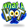 What a Hoot