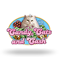 Candy, Cats and Cash