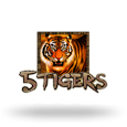 5 Tigers