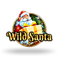Wild Santa