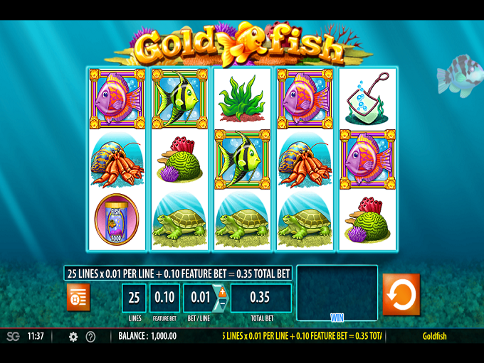 Gold Fish by WMS