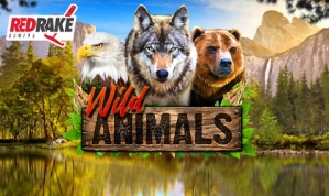 Red Rake Brings the Pack to the Reels in Wild Animals